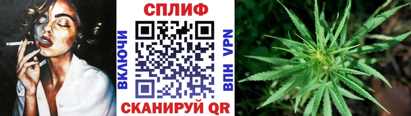 Псилоцибиновые грибы Малмыж