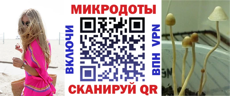 Галлюциногенные грибы мухоморы  дарнет шоп  Малмыж 